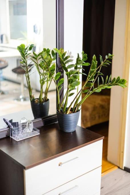 Appartement Hubane Korter Jaervel *